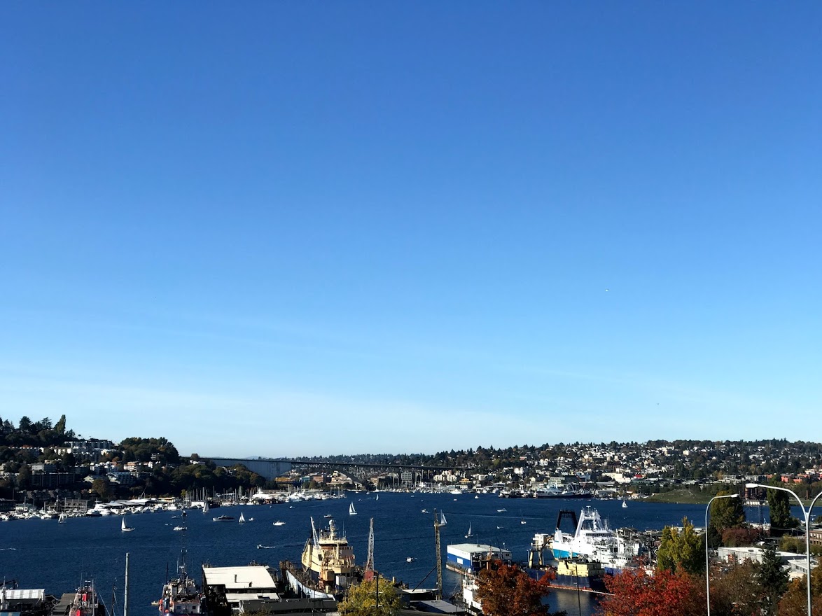 Experience the vibrant local boating culture in the heart of Seattle.