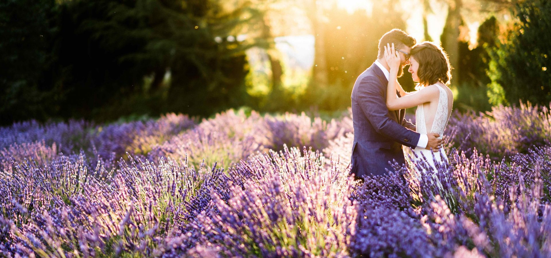 Woodinville Lavender Farm: The epitome of Seattle’s natural wellness landscape.