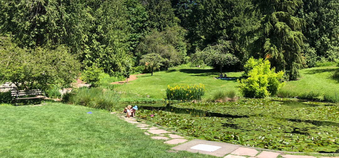 Experience the lush greenery and breathtaking landscapes of Seattle's parks and trails.