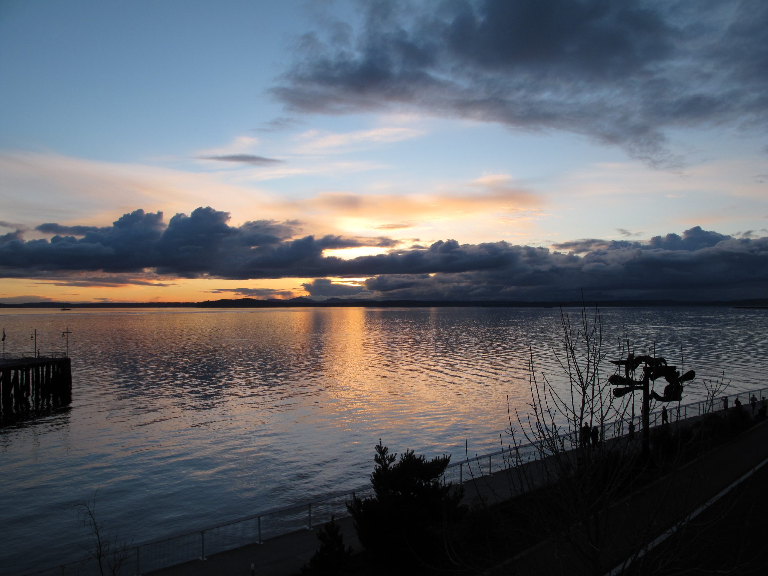 The Elliott Bay Trail: A scenic urban escape with unparalleled views of Seattle.