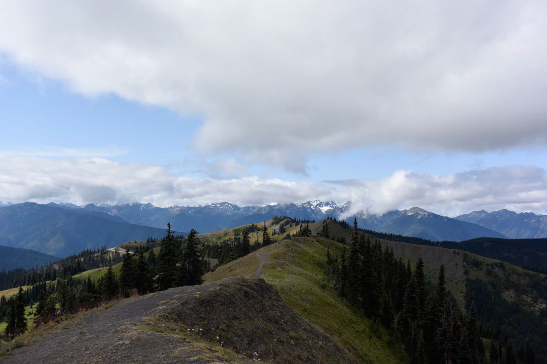 Breathtaking expanse of Olympic National Park, inviting adventurers and nature lovers alike.