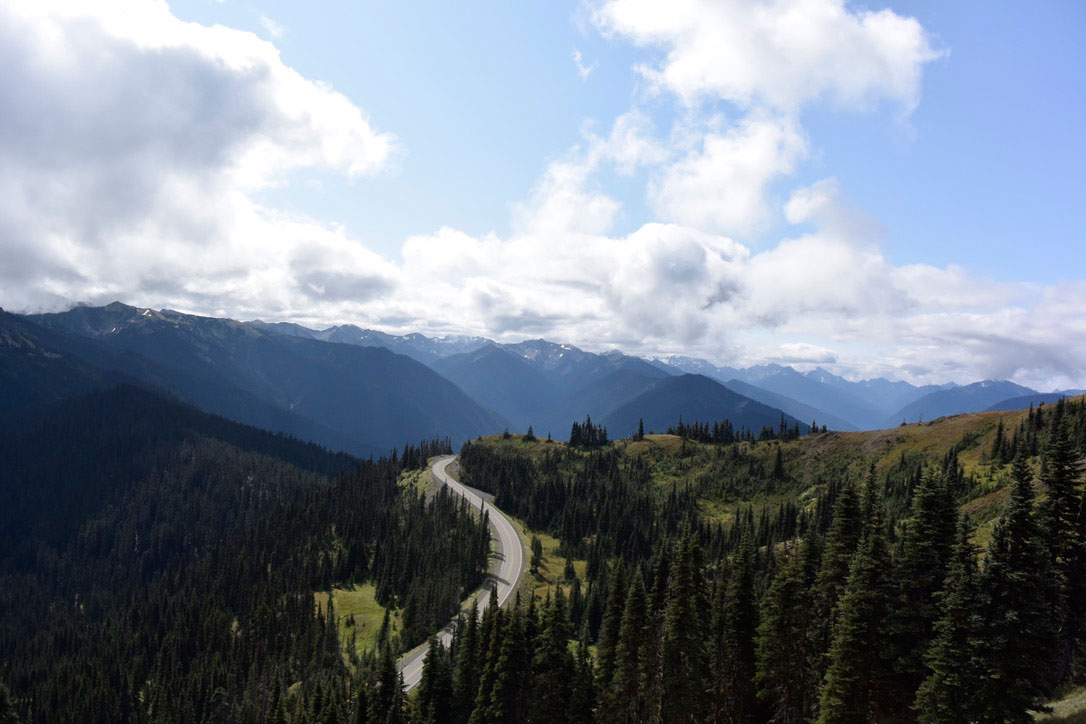 Olympic National Park at a glance, a gateway to unparalleled natural adventures.