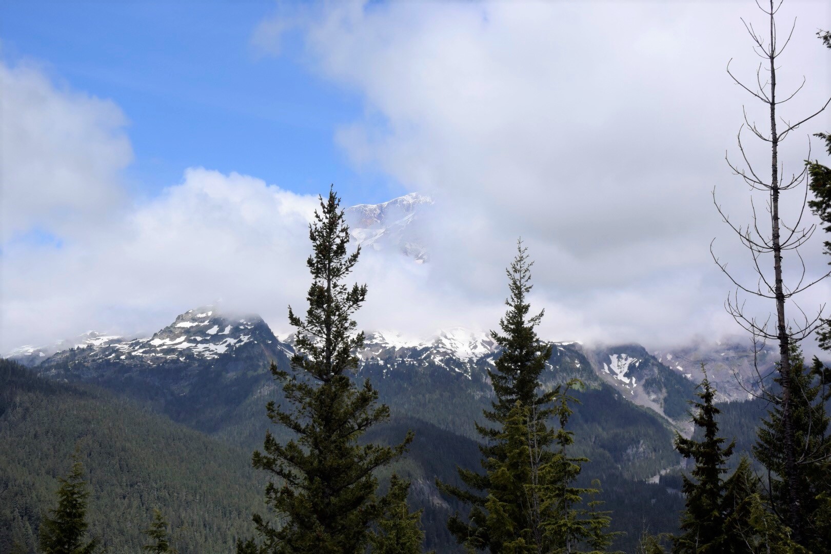 Mount Rainier standing majestic, a beacon for adventurers and nature lovers alike.