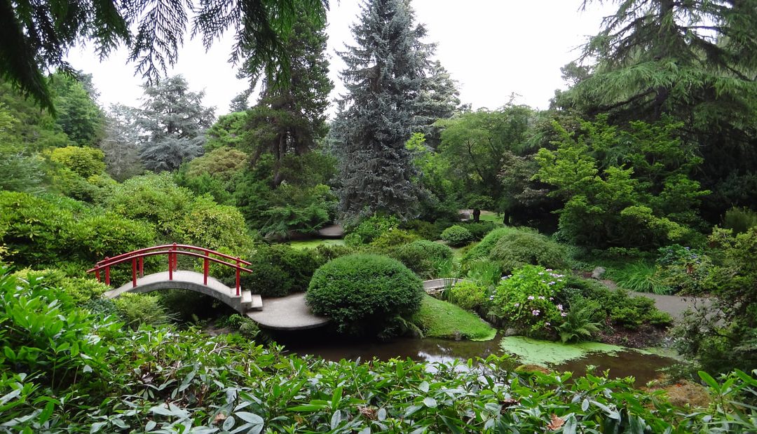 A Colorful Retreat: Visiting Seattle’s Kubota Garden This Fall