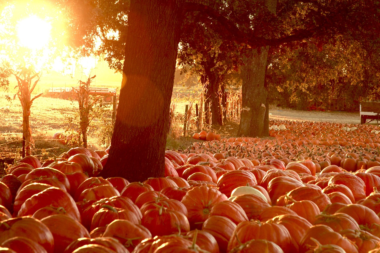 Unveiling Seattle's Halloween Spirit: A Guide to Spooky and Family-Friendly Events